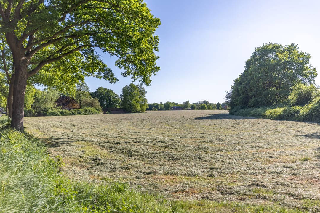 Foto 16 van Hogestraat 3