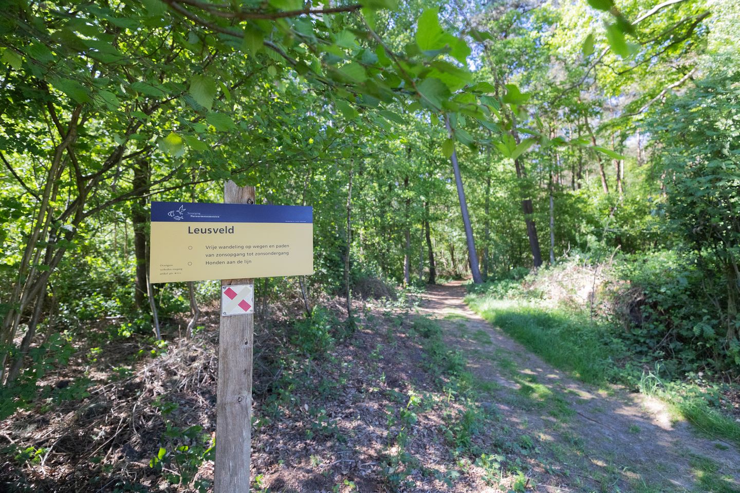 Foto 25 van Hogestraat 3