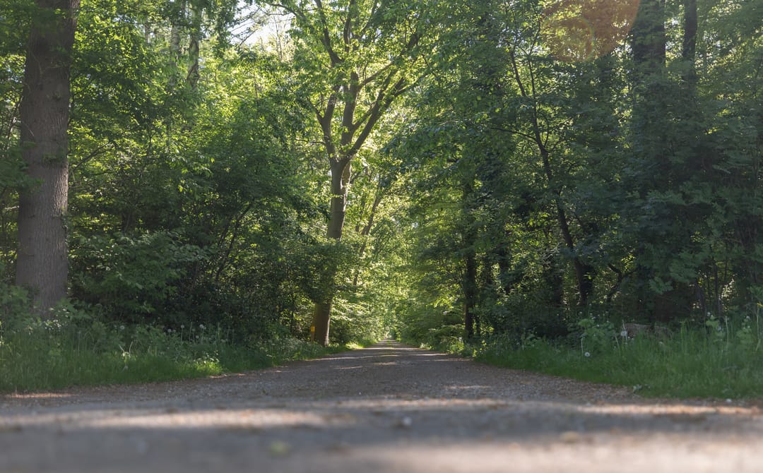 Foto 26 van Hogestraat 3