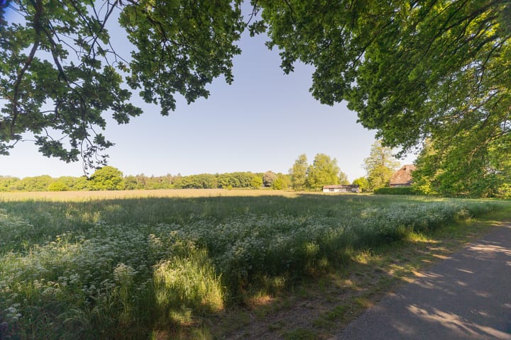 Photo 28 of Hogestraat 3