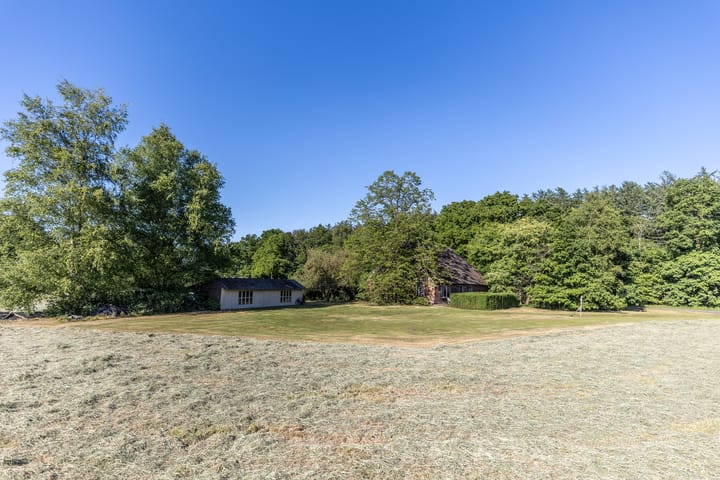 Photo 29 of Hogestraat 3