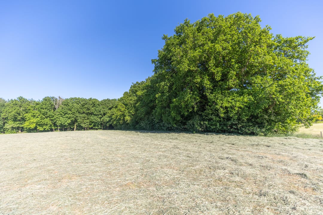 Foto 31 van Hogestraat 3