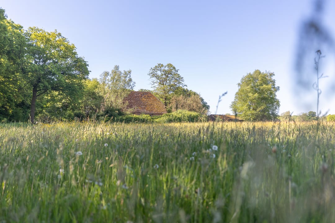 Foto 32 van Hogestraat 3