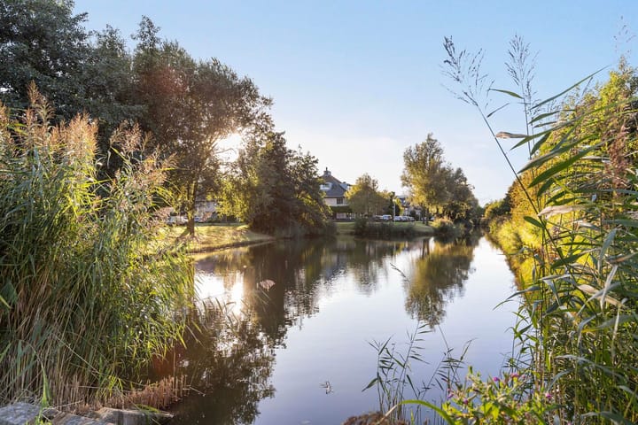 Foto 41 van Korenbloemlaan 8