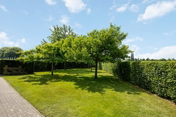 Foto 53 van Wittenbergsweg 3