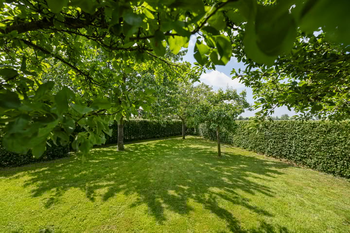 Foto 54 van Wittenbergsweg 3