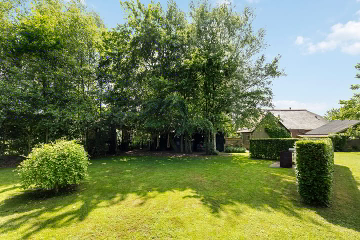 Foto 62 van Wittenbergsweg 3