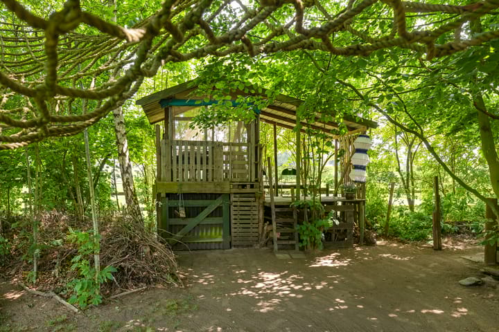 Foto 65 van Wittenbergsweg 3