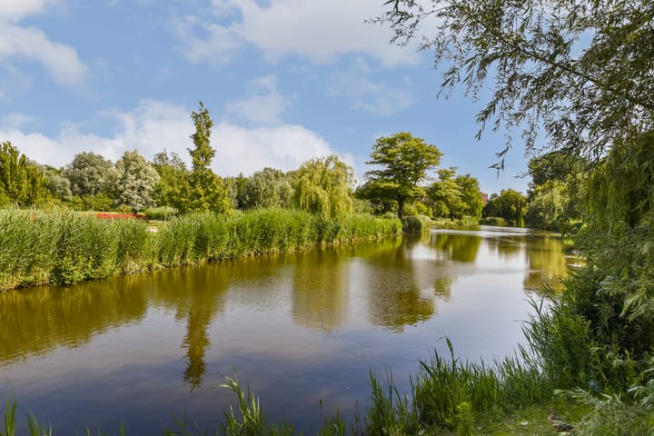 Foto 26 van van De Spiegelstraat 115