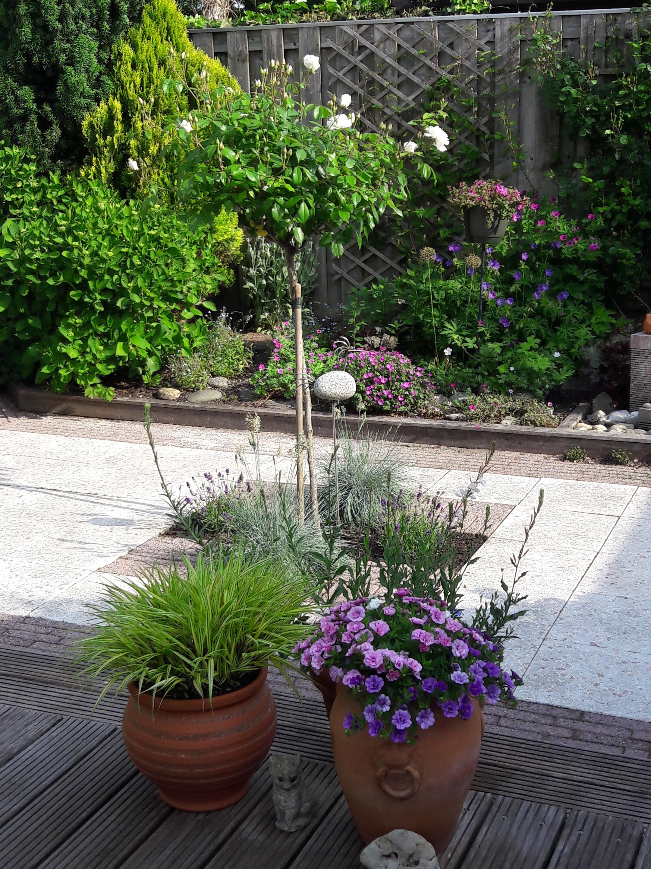 Foto 36 van Marshof 53