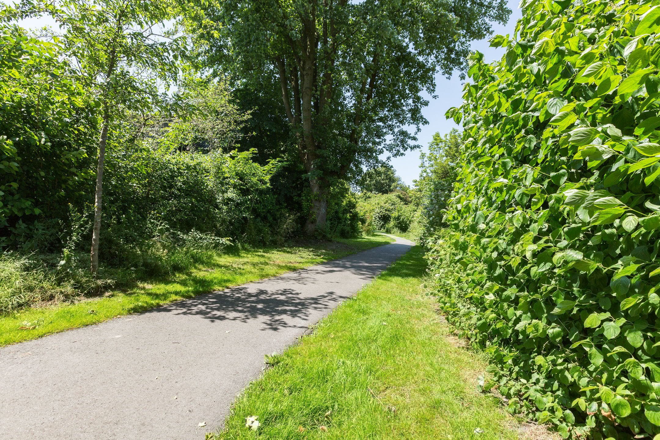 Foto 39 van Marshof 53