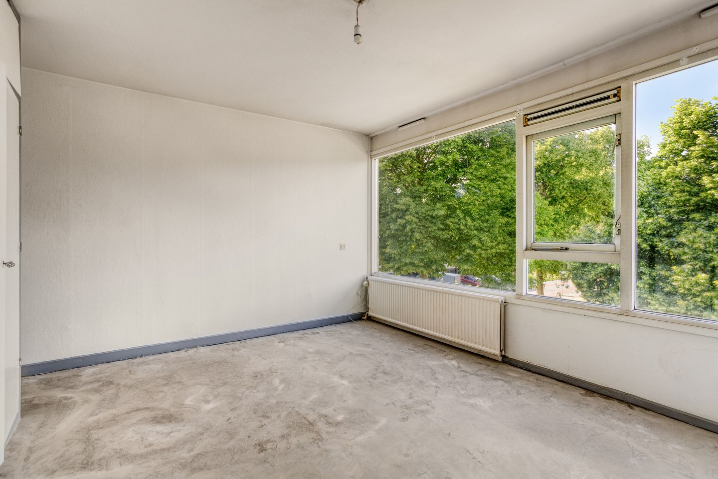 Photo 10 of Olthorst 19