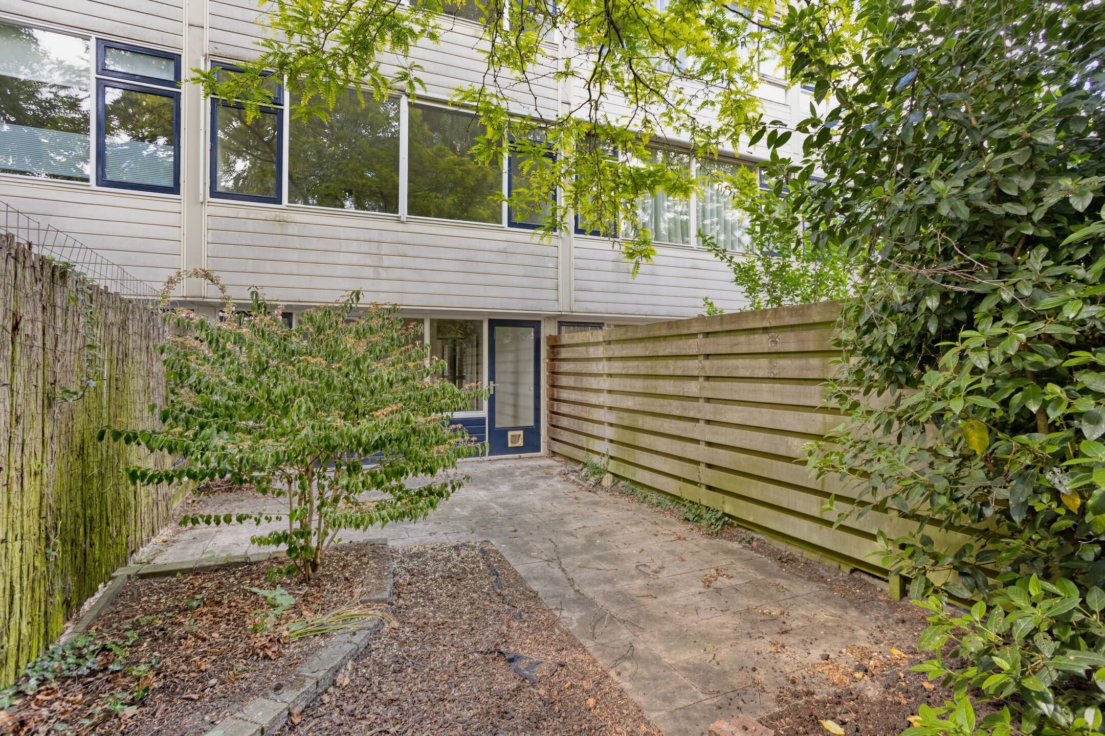 Photo 24 of Olthorst 19