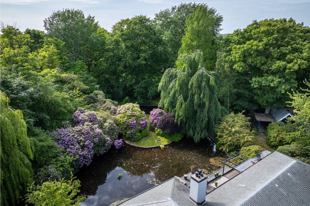 Foto 67 van Achttienhontpad 4