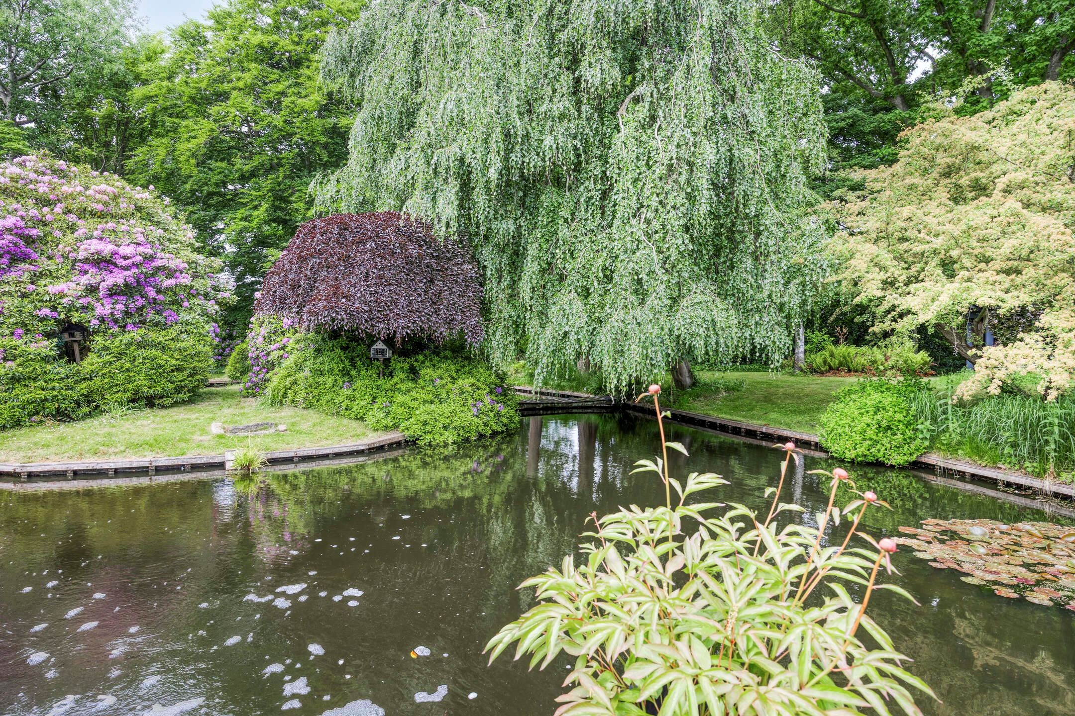 Foto 69 van Achttienhontpad 4