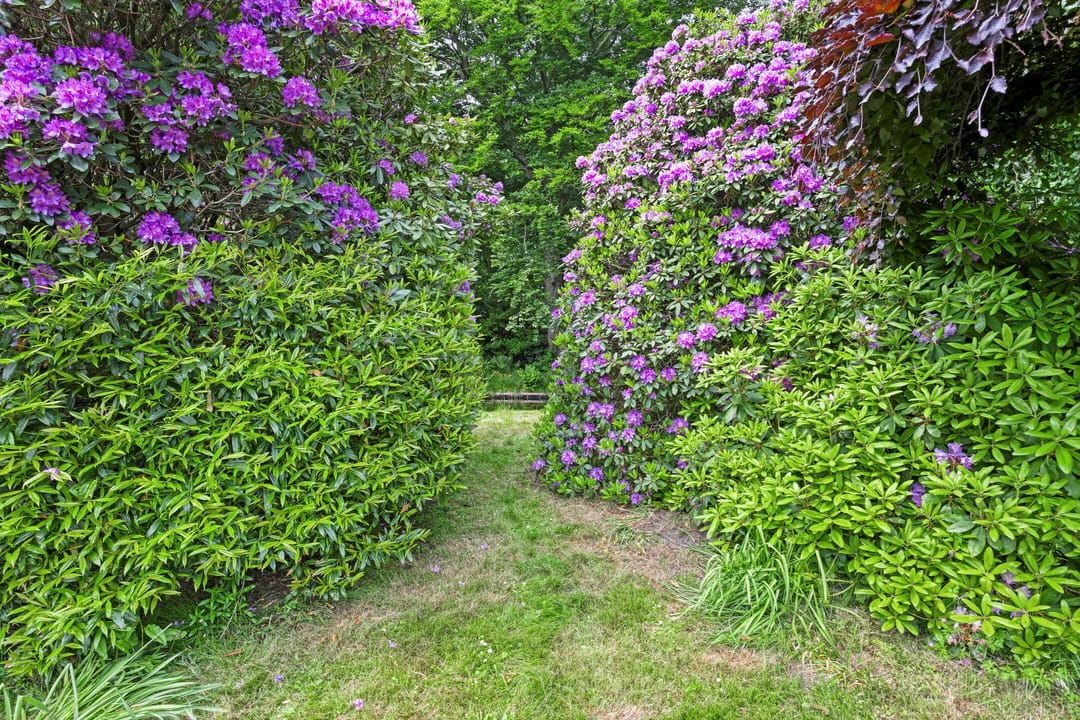 Foto 73 van Achttienhontpad 4