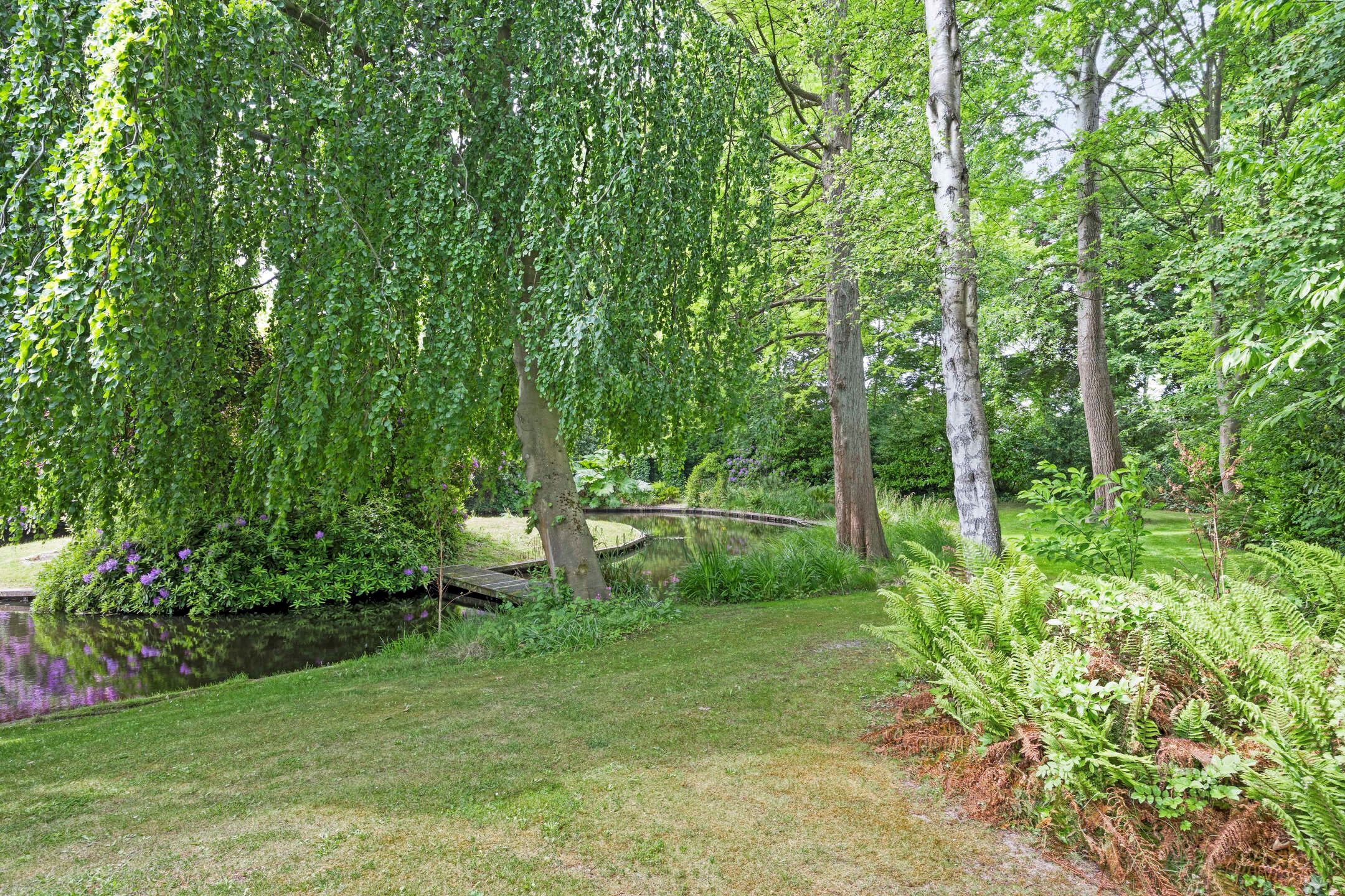 Foto 78 van Achttienhontpad 4