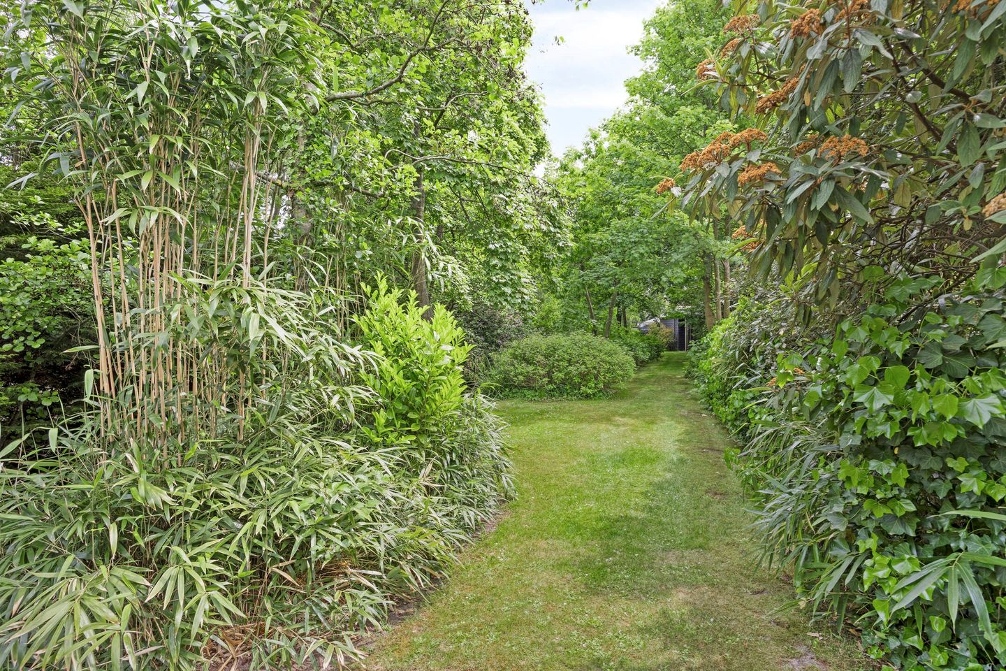 Foto 94 van Achttienhontpad 4