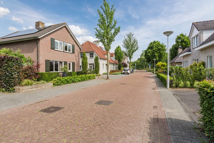 Foto 50 van Boomheuvel 8