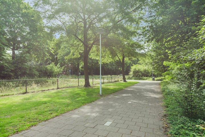 Foto 53 van Boomheuvel 8