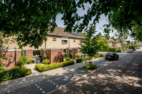 undefined main image