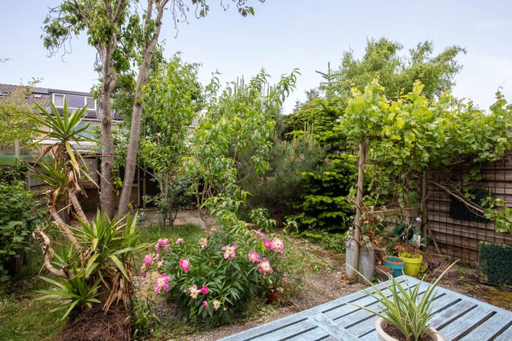 Foto 30 van Jacob Catslaan 32