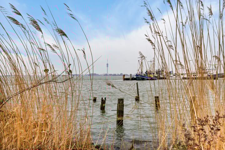 Foto 43 van Eendragt 10