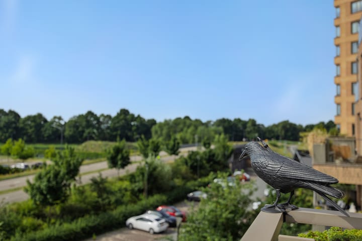 Foto 11 van Willemspoort 80