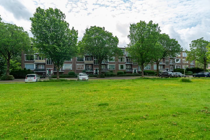 Foto 7 van Iepenstraat 6-C