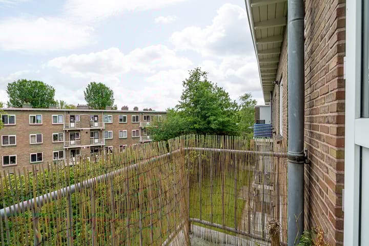 Foto 34 van Iepenstraat 6-C