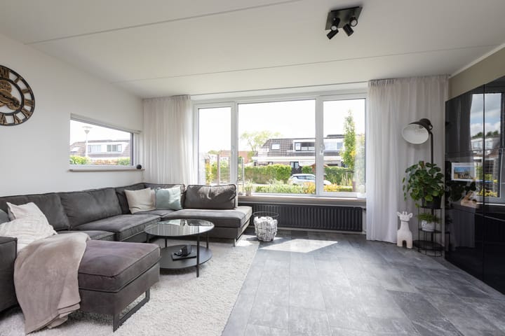 Foto 8 van Zilverschoon 2