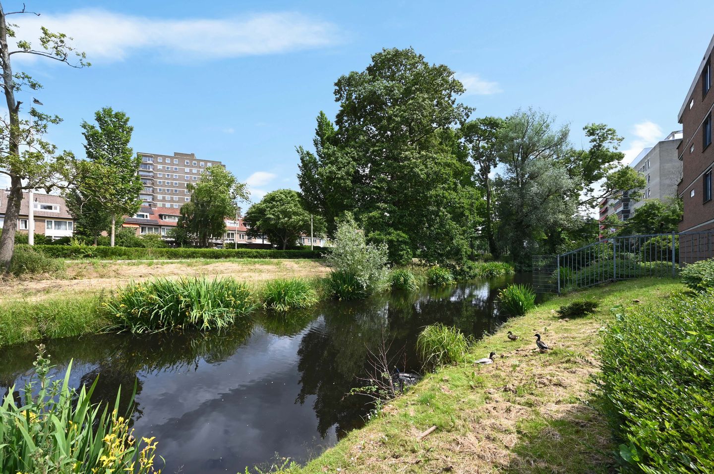 Foto 1 van Zwedenburg 370