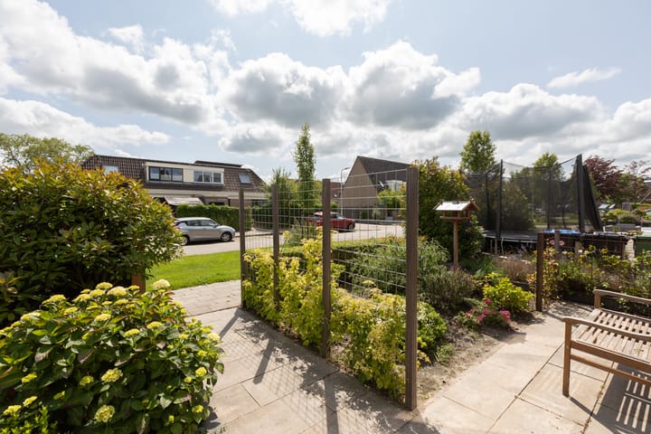 Foto 41 van Zilverschoon 2