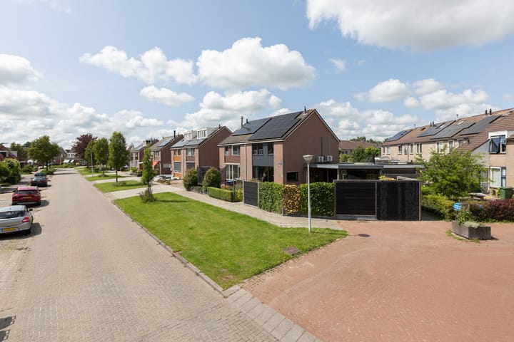 Foto 42 van Zilverschoon 2