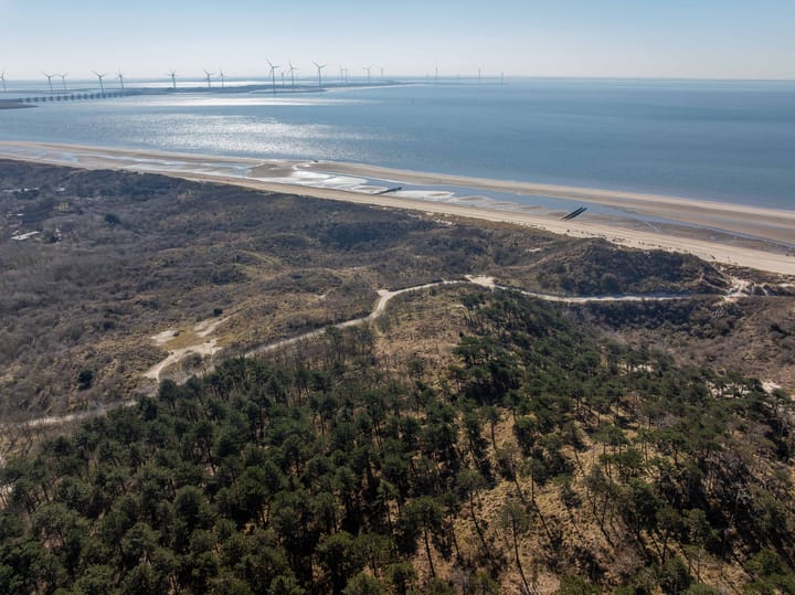 Foto 5 van Westenschouwenseweg 6