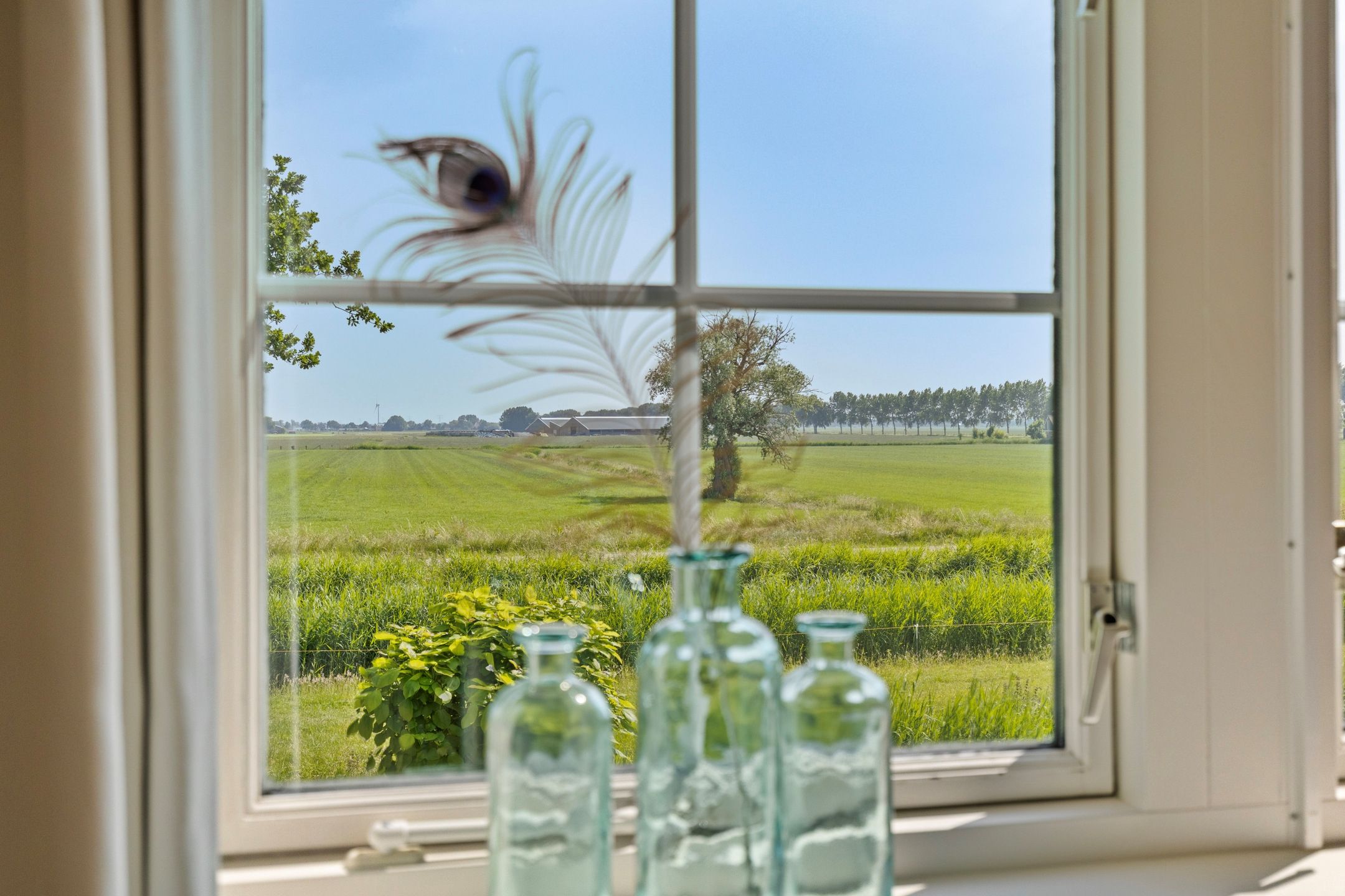 Photo 39 of Moerbeek 7