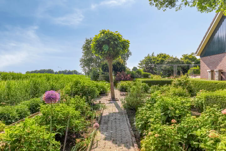 Foto 47 van Moerbeek 7