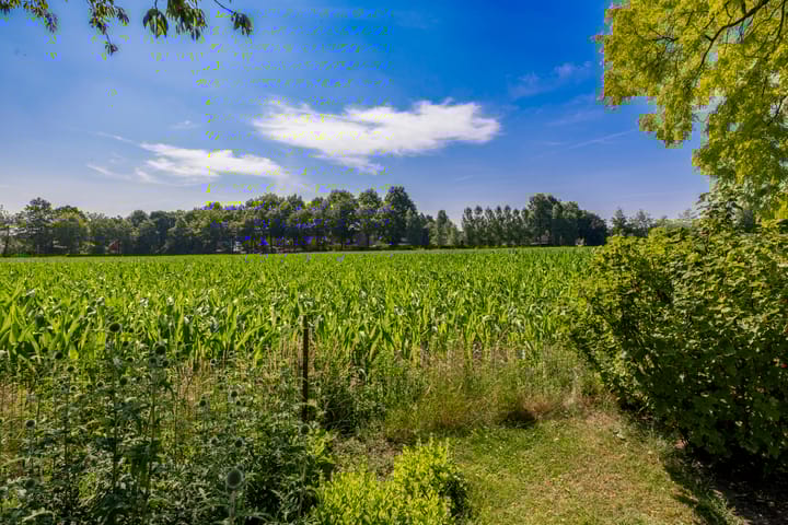 Foto 37 van Kortenaerstraat 44