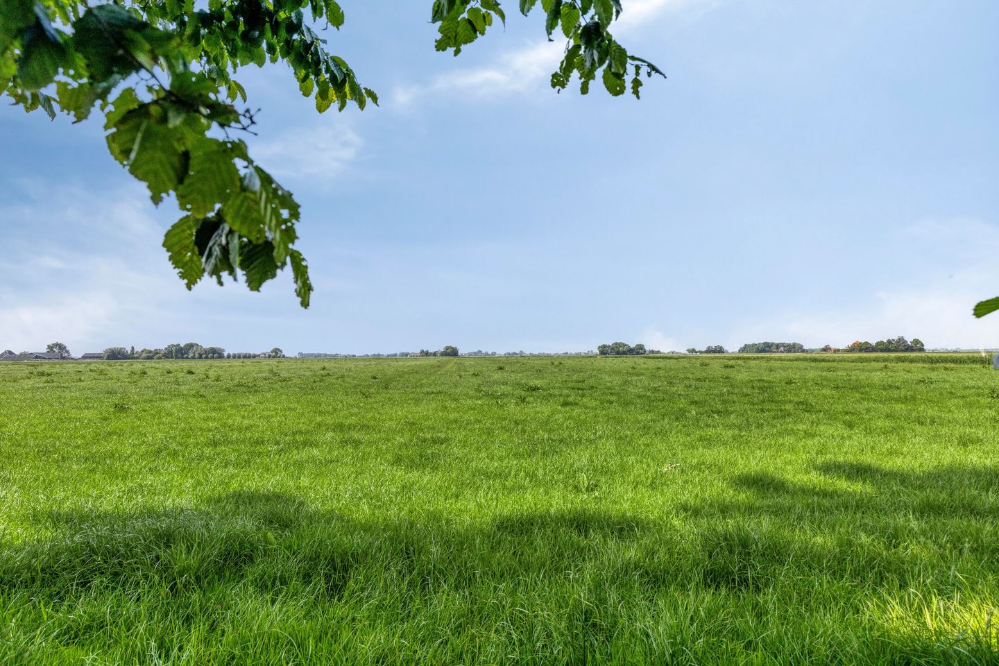 Photo 55 of Moerbeek 7