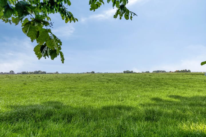 Foto 55 van Moerbeek 7