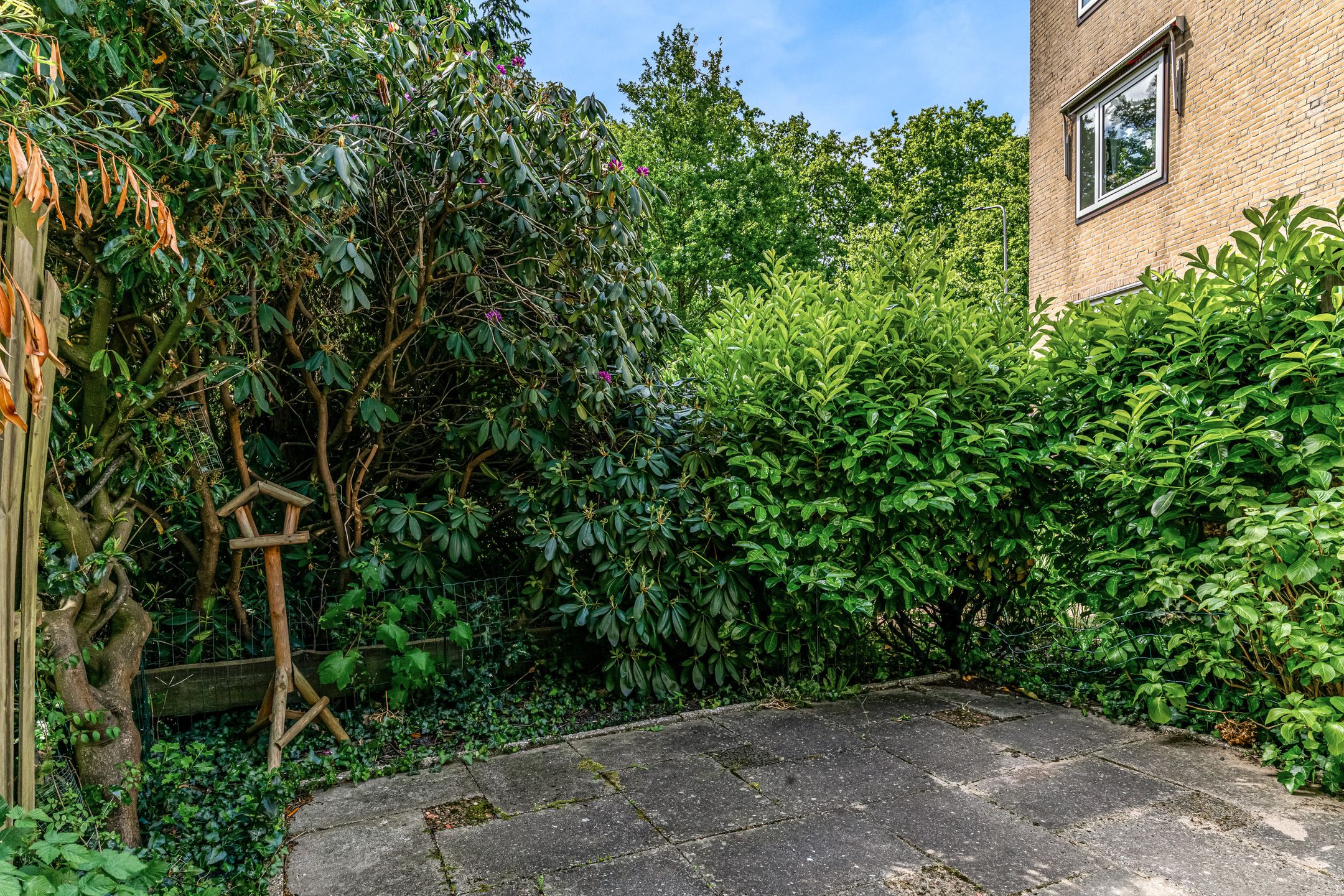 Foto 15 van De Sparren 181