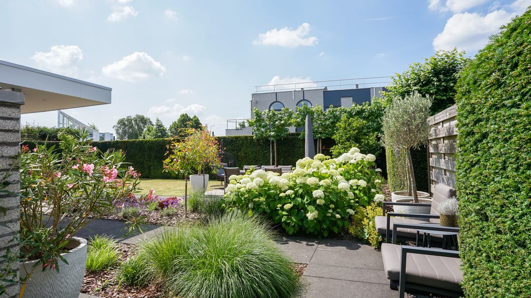 Foto 56 van Halewijnstraat 16