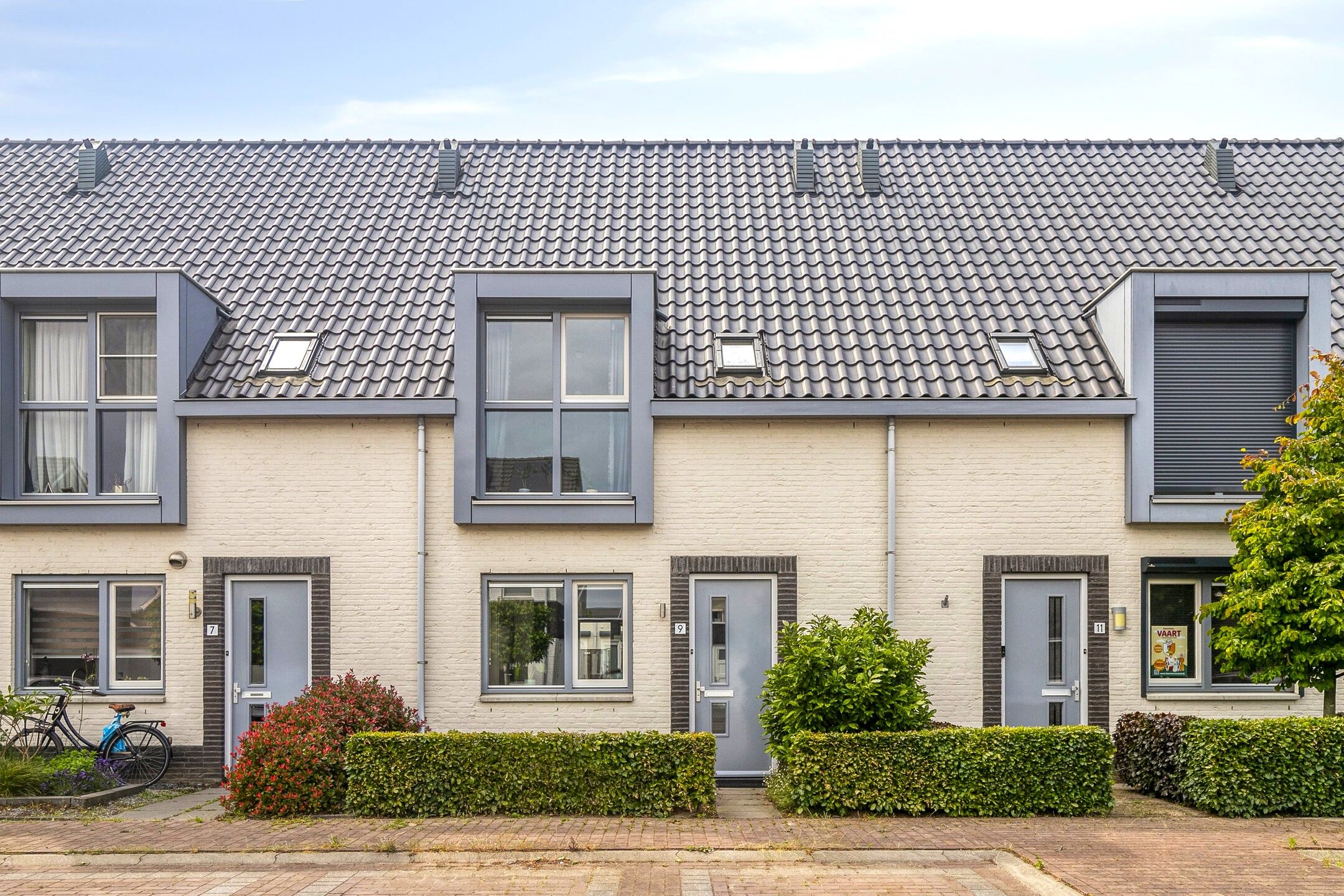 Photo 27 of Kamille 9