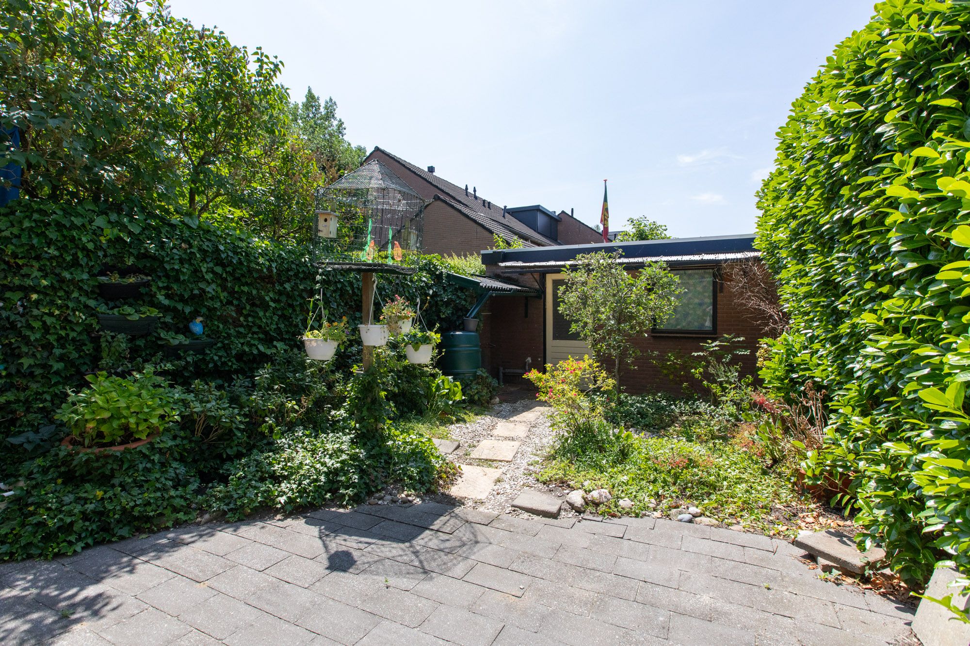 Foto 42 van Lieshoutstraat 121