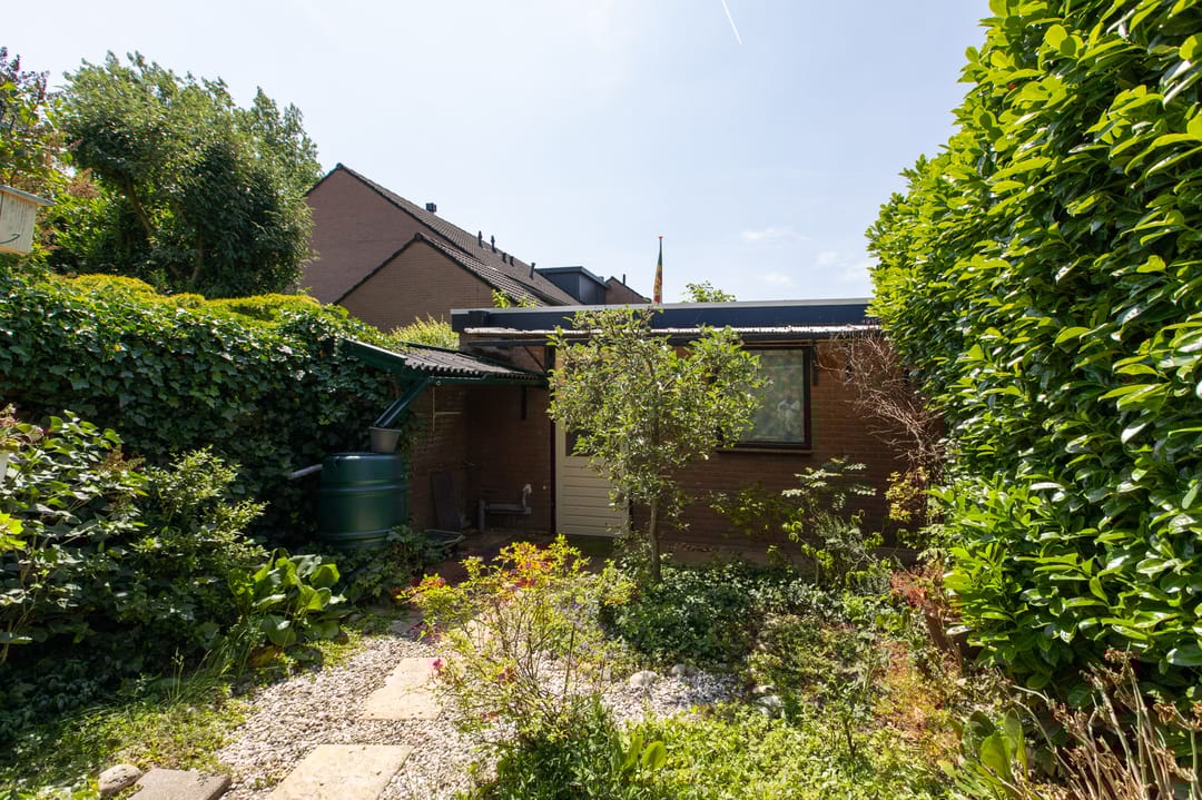 Foto 43 van Lieshoutstraat 121