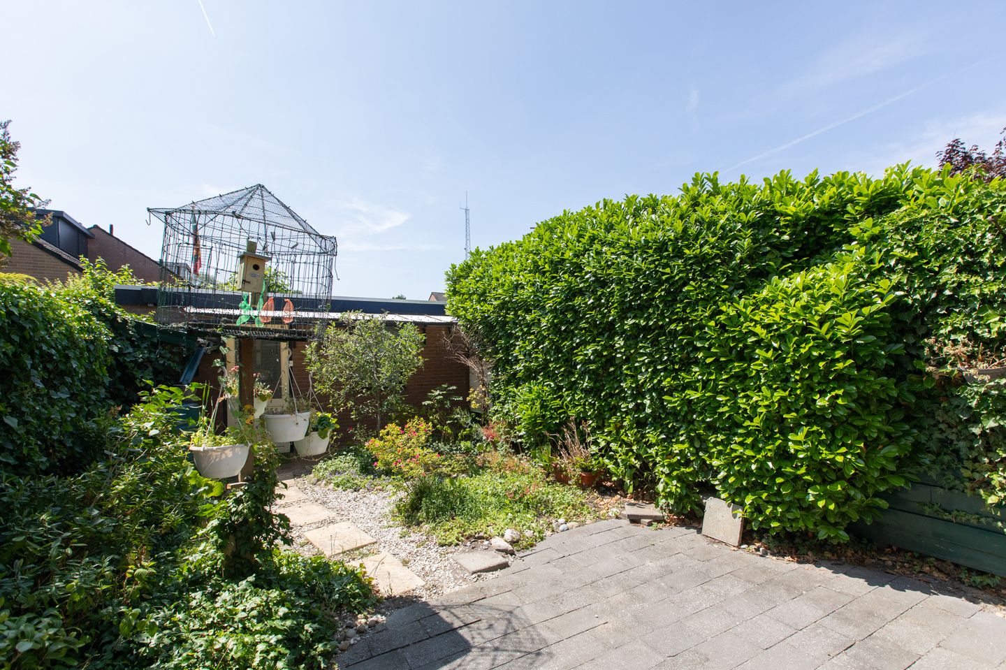 Foto 44 van Lieshoutstraat 121