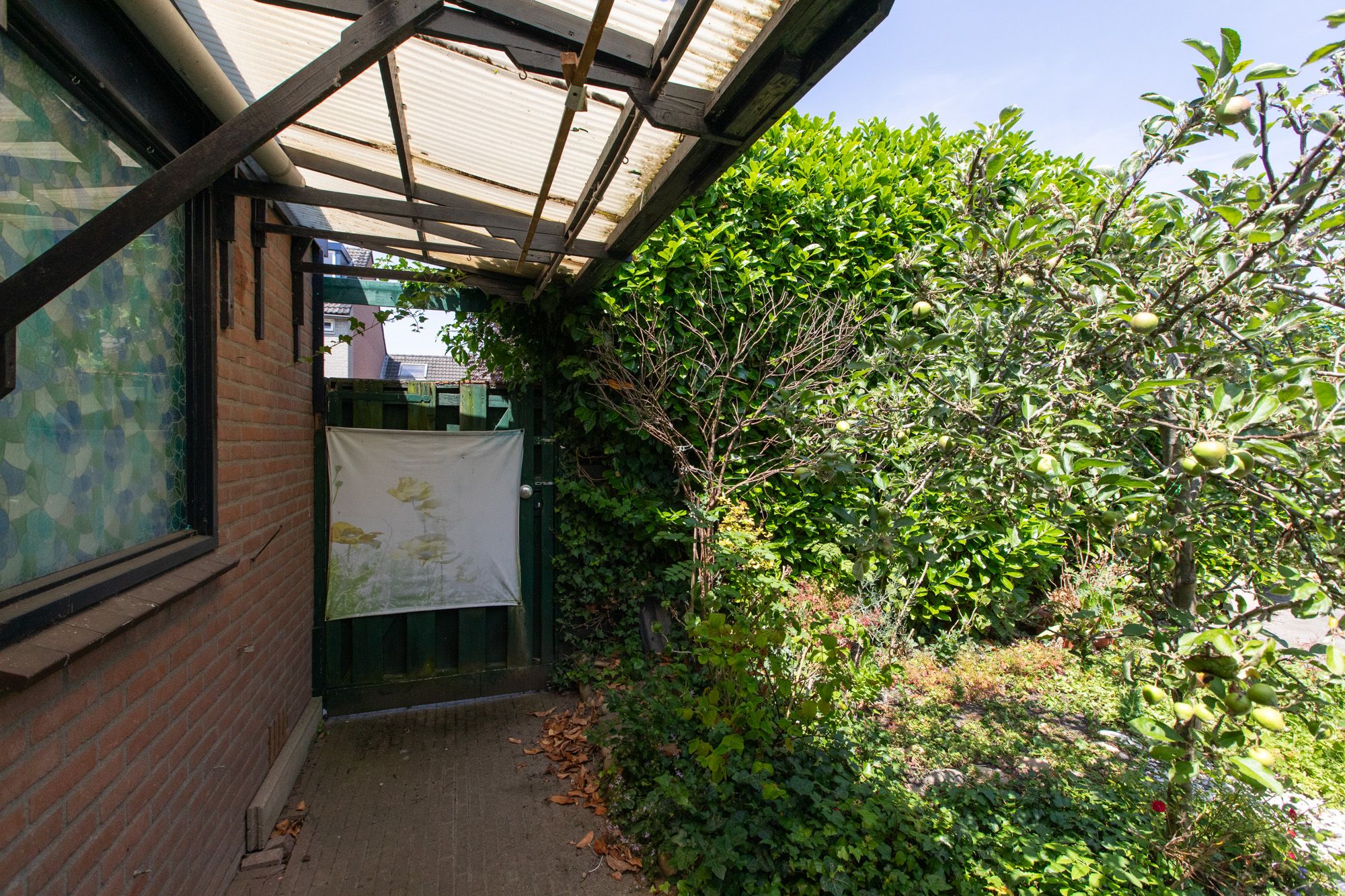 Foto 45 van Lieshoutstraat 121