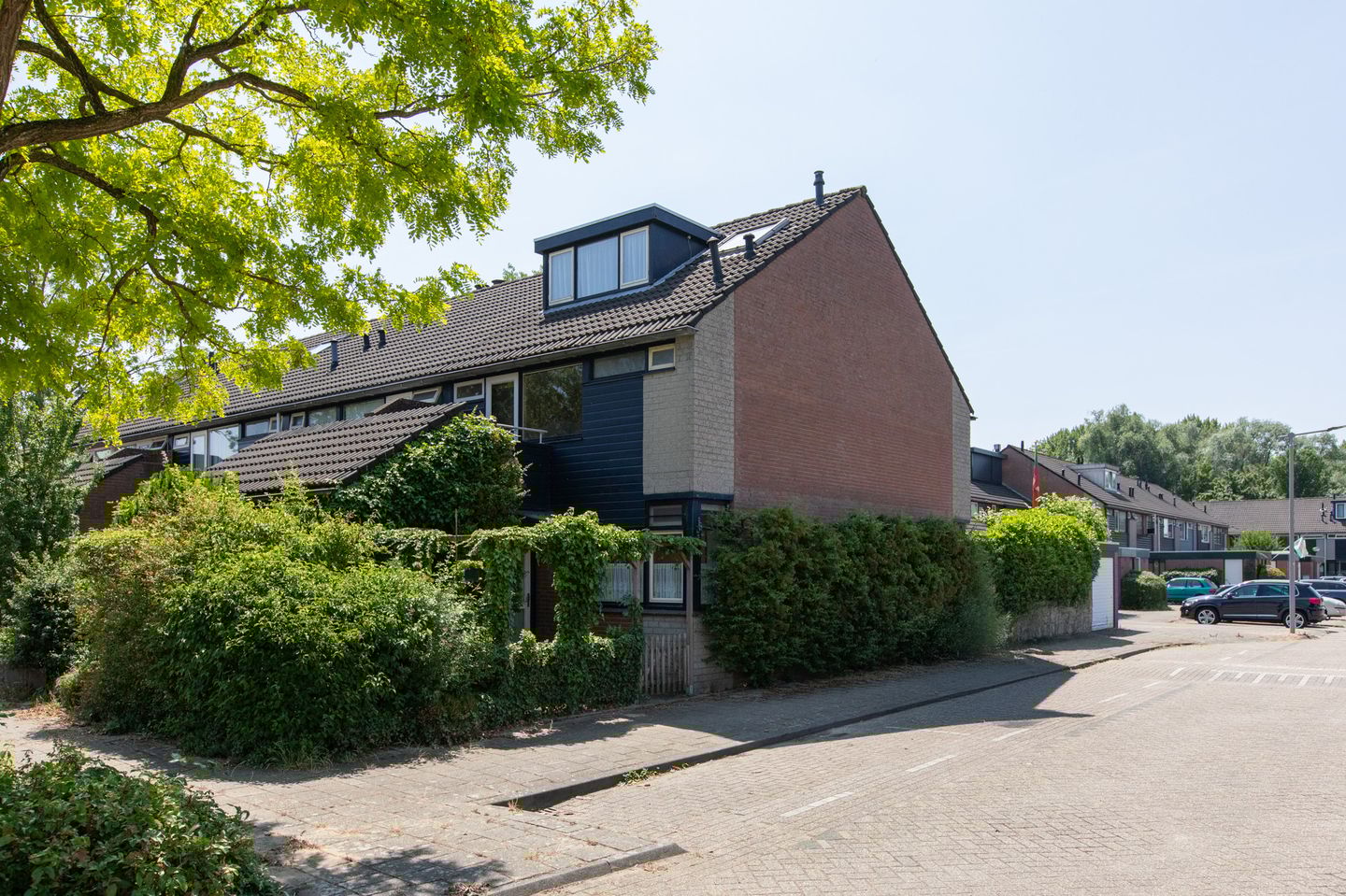 Foto 49 van Lieshoutstraat 121