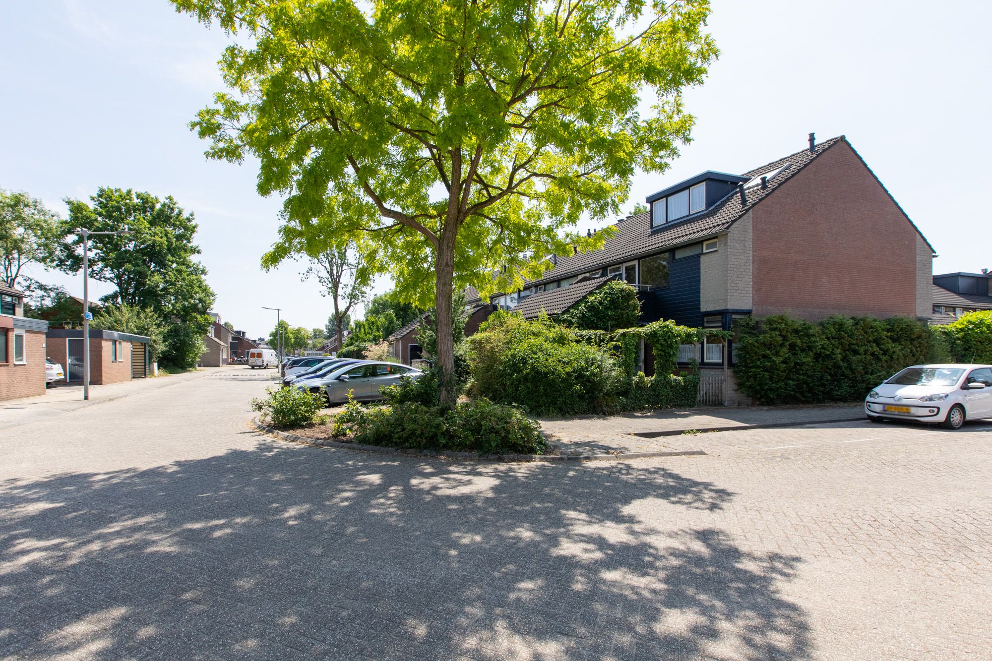 Foto 51 van Lieshoutstraat 121