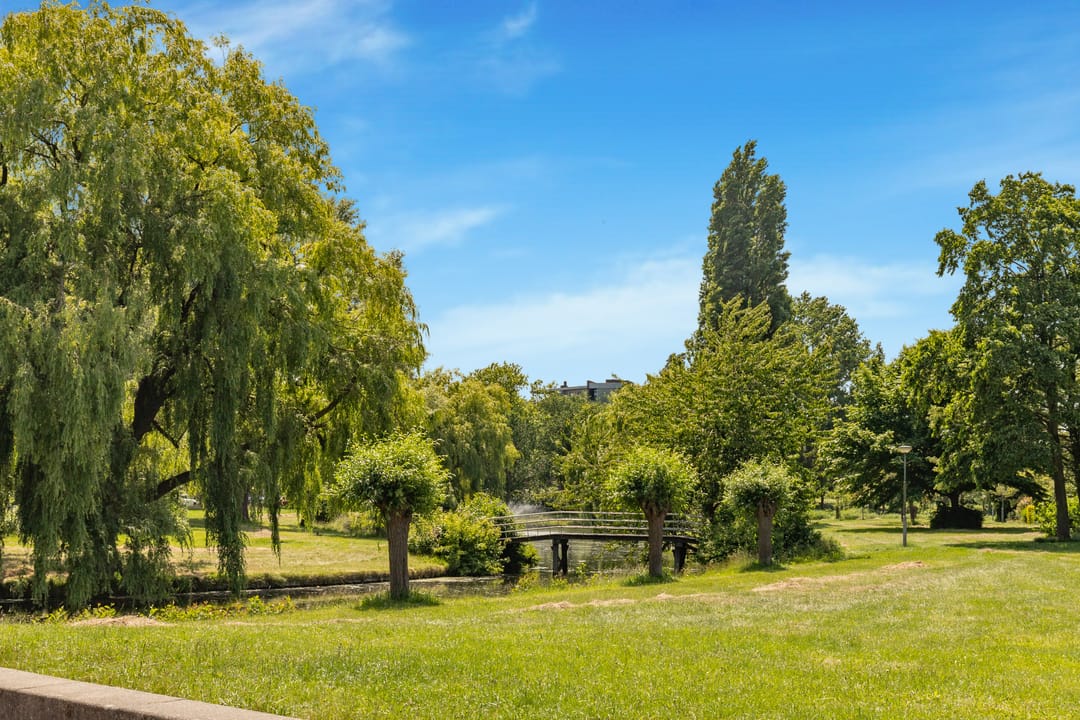 Foto 46 van Cannenburg 25